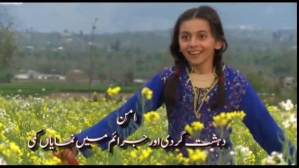 Superb Advertisement Over PTI Govt Performance in KPK