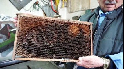 Arılar Petek Üzerine 'Allah' Yazdı