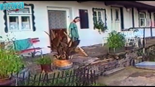 Funny Home Videos – Funny Videos 2015 – Best fails, falls in August