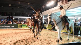 Gala Equestre ARTM na Feira de Maio 2018 - 03