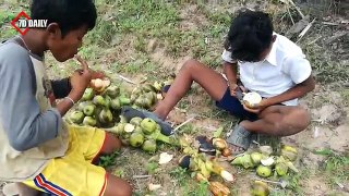 Wow! Amazing Two Children Catch Many Snake By Hand - Catch Snake In Cambodia