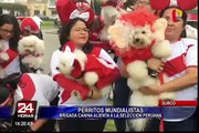 Brigada canina de Surco alienta a la Selección Peruana en la previa ante Escocia