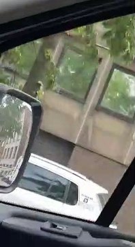 Belgique : Un gros Road Rage à Bruxelles entre une Range Rover et une Audi A3 !