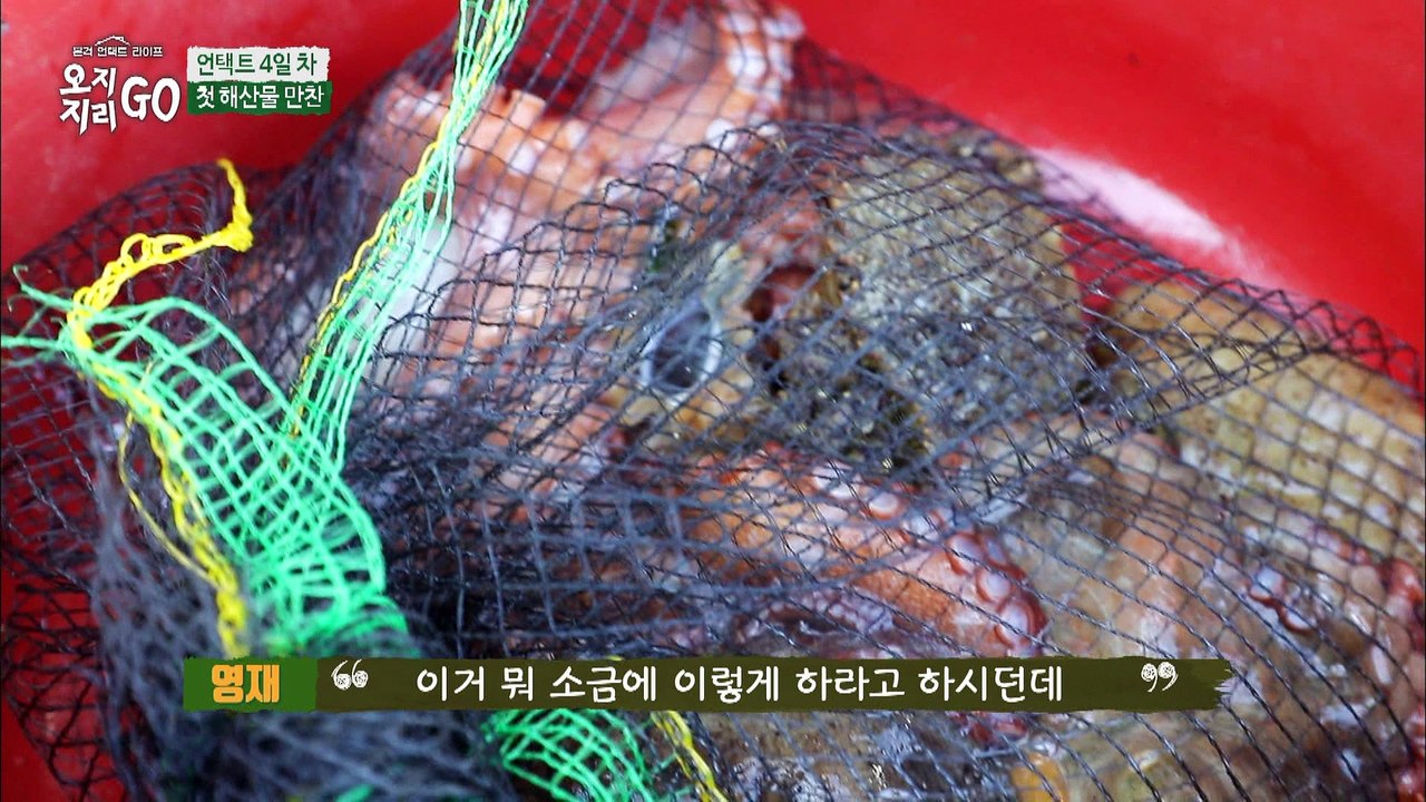 난생 처음 해보는 문어 손질 [오지GO 지리GO] 4회