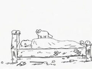 Chat affamé - Hungry cat