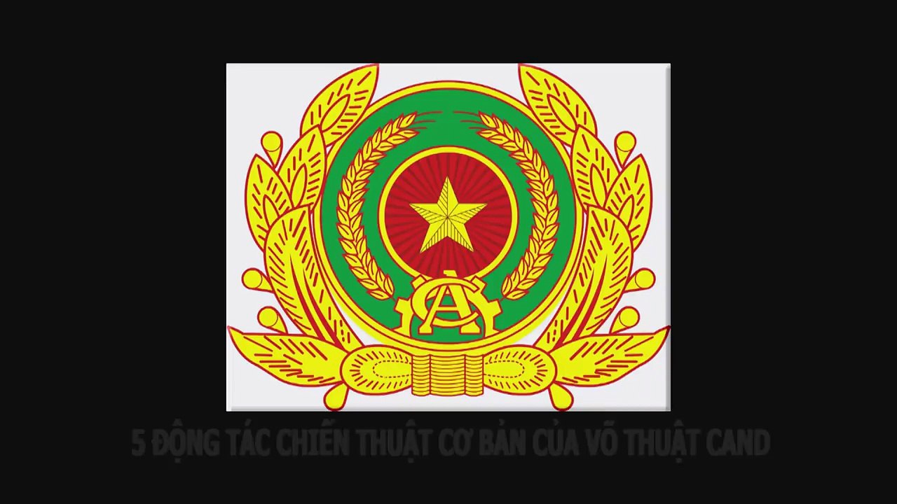 5 DONG TAC CO BAN VO CAND