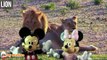 Mickey and Minnie Learn Animals and Sounds in a Funny Way | Horse Lion Dog Cow Sheep Goat Rooster