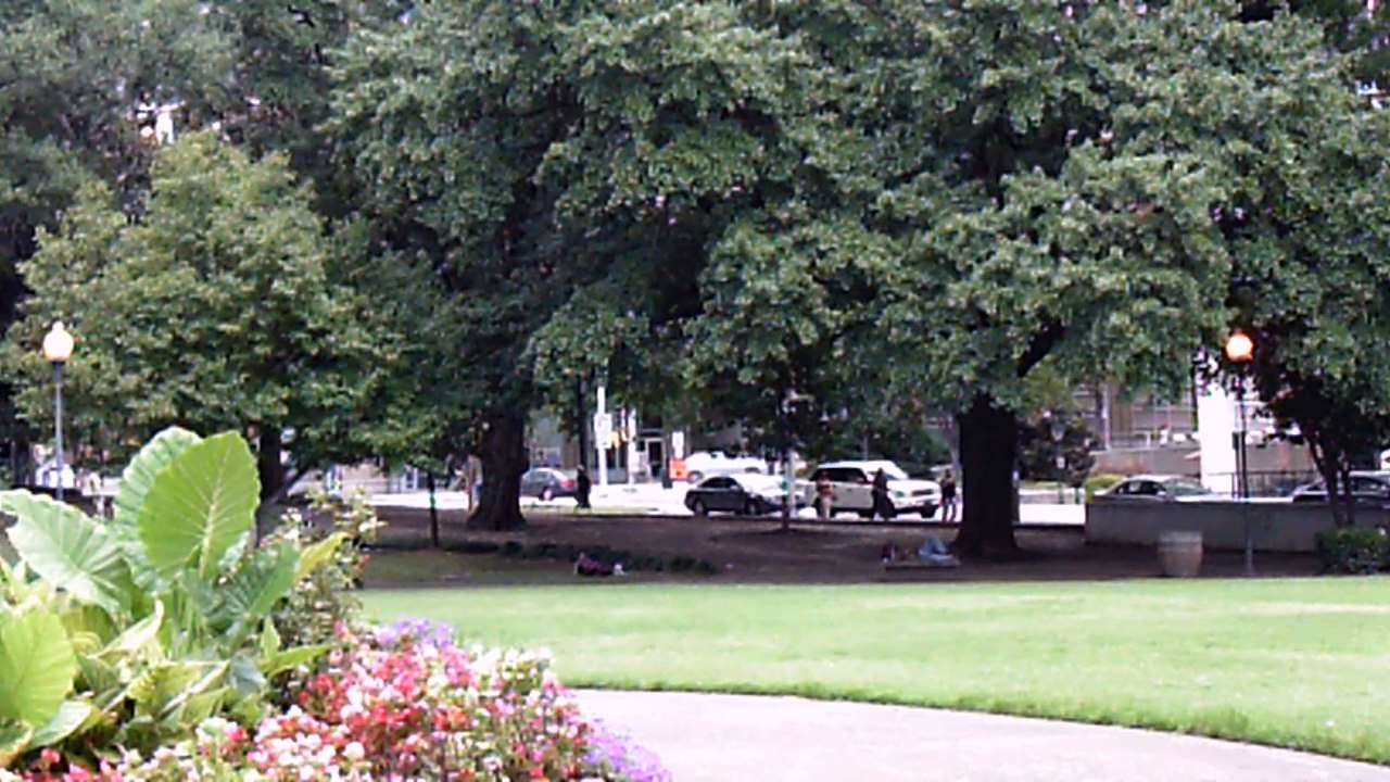 12| Catholic Hobo Pilgrimage,  A Hobo in Atlanta, homeless edition