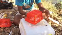 ishing_ New Fishing Technique Trap Using Plastic Bottle & Basket To Catch Alot Of Fish ( 240 X 426 )
