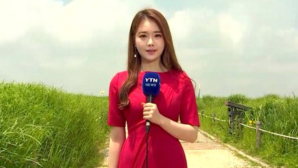 [날씨] 초여름 더위 속 강원·남부 소나기 / YTN