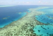 Australie : la Grande Barrière de corail est en danger