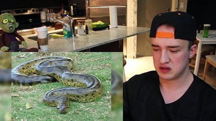 Scariest Creatures Caught in the Amazon Jungle!