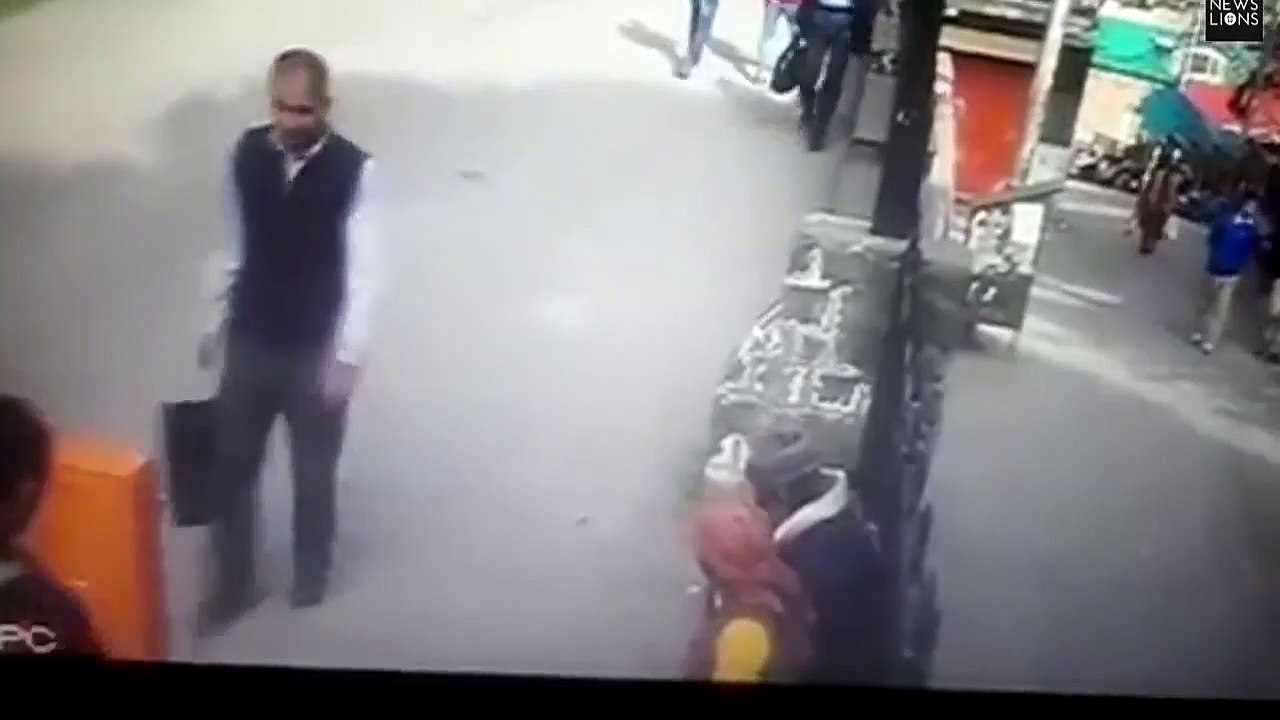 Dans ce village Indien, les singes font régner la terreur