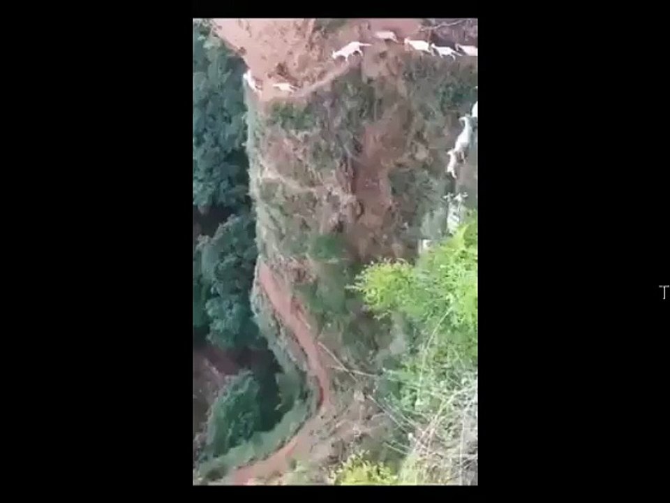 What a Scene Incredible - Today Facebook
