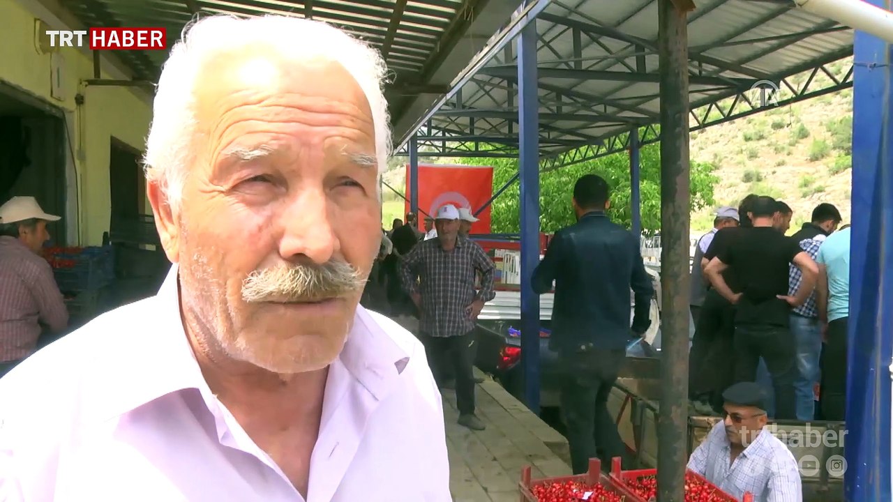 Bilecik'te "açık artırma" ile kiraz satışı
