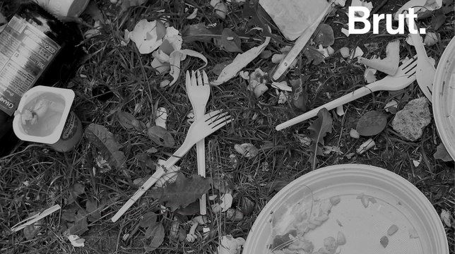 Voilà ce qui remplacera la vaisselle en plastique, interdite en 2020