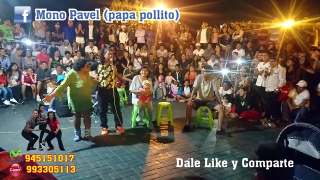 mono pavel - el brasilero quitandole show al mono pavel
