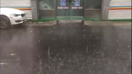 대구 곳곳에 지름 1.5cm 우박 쏟아져 / YTN