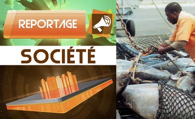 Crise dans le secteur des produits surgelés : Une concurrence déloyale dénoncée