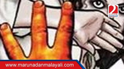 Air India officer rape attempt on air hostess