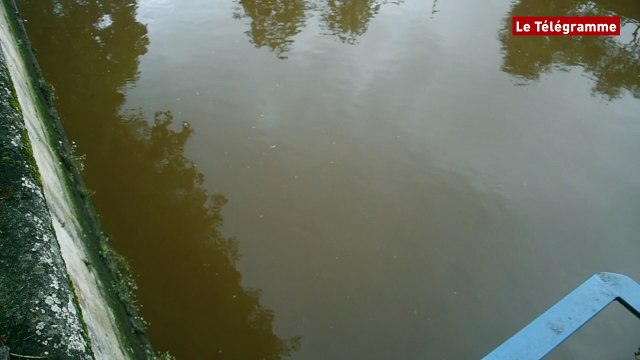 Quimper. L'Odet couleur rouille