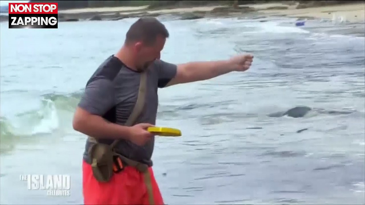 The Island Célébrités : Les candidats frôlent le drame après avoir pêché un poisson mortel (vidéo)