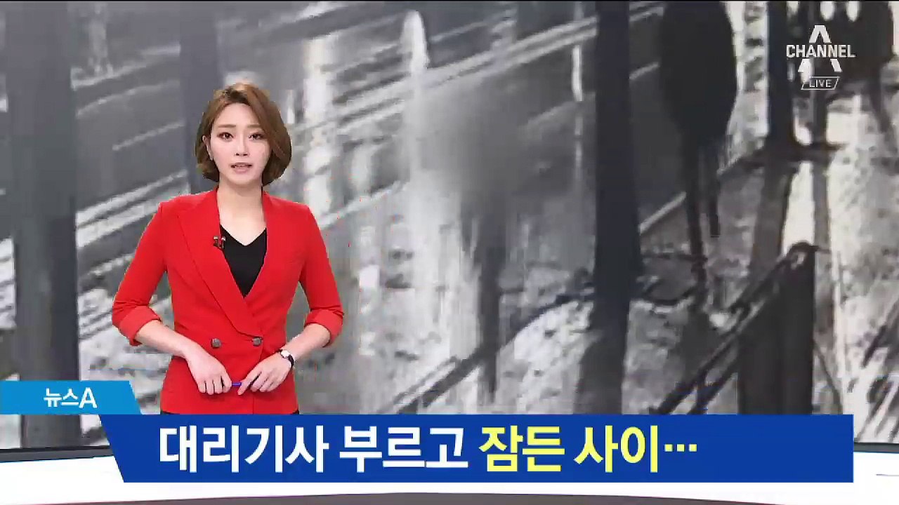대리기사 부르고 잠든 사이…2인조 절도범 ‘슬쩍’