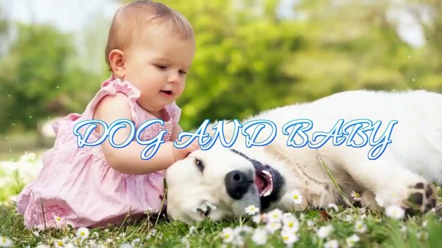 Adorable Alaskan Malamute playing with kids Dog Loves Baby