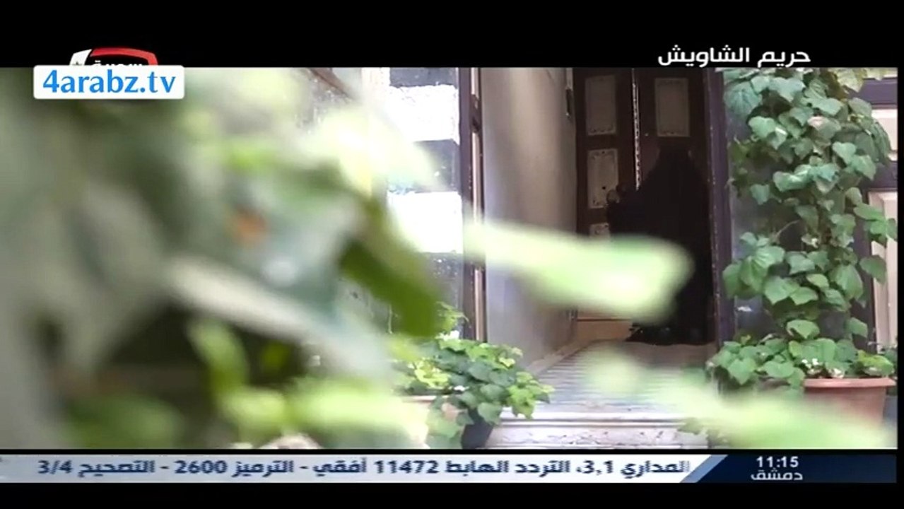 مسلسل حريم الشاويش الحلقة 14