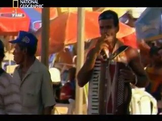 l'invasione degli squali