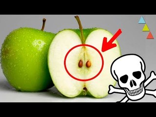 Los venenos naturales más potentes del mundo