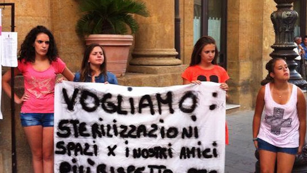 San Cataldo cuccioli abbandonati e solo una bufala