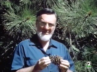 Patagonia en busca de su remoto pasado - capítulo 2 de 7