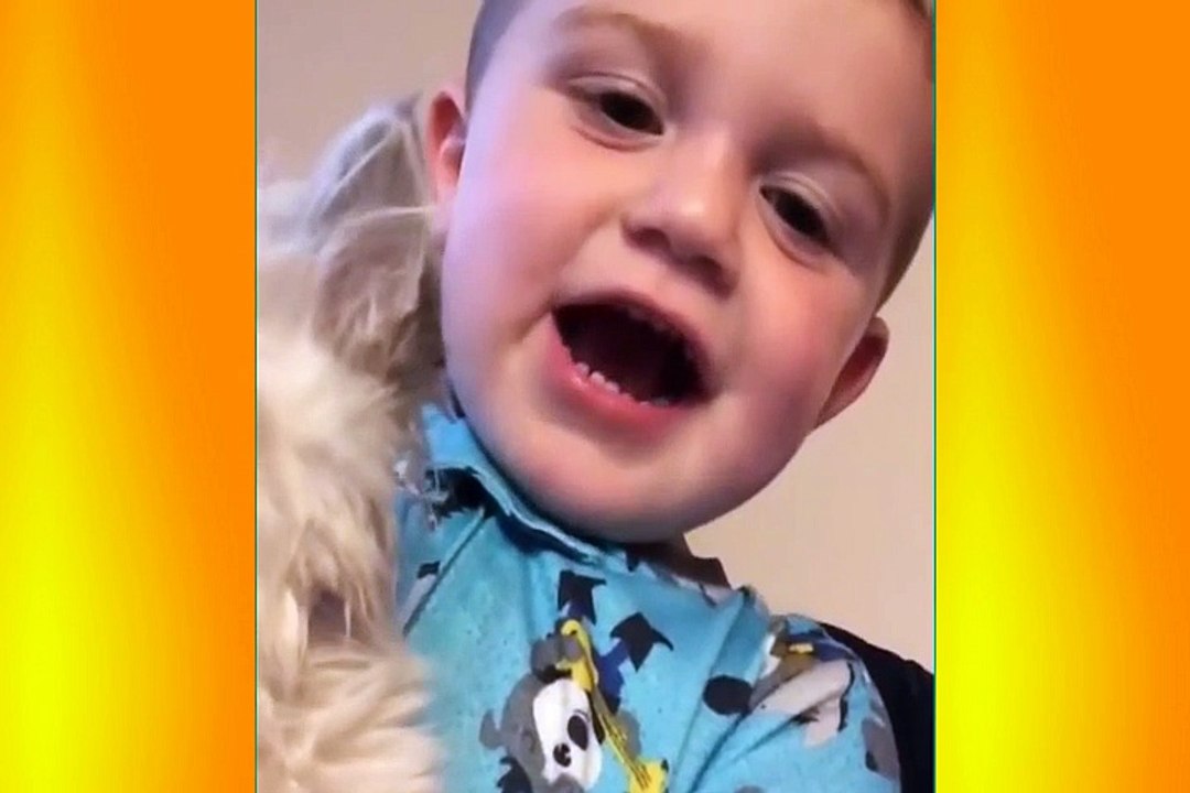 Try Not To Laugh Challenge Funny Dog & cat