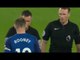 Everton 0-2 Manchester United -  All Goals & Extended Highlights  1.1.2018 HD