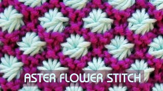 Aster Stitch