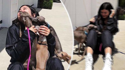 Kylie Jenner is smothered with affection by her four dogs outside Los Angeles mansion