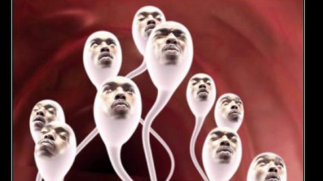 CUANTAS VECES EYACULA UN HOMBRE DURANTE TODA SU VIDA