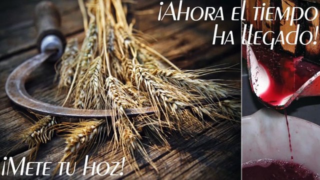 Sembrando Esperanza - La perdida de valores - Emilio Carmona - 19.05.2018