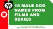 10 male dog names from films and series -  the best pet names - www.namesoftheworld.net