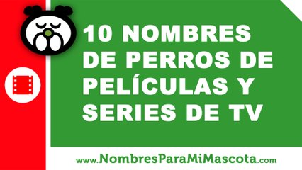 Download Video: 10 nombres de perros de películas y series de TV - nombres de mascota - www.nombresparamimascota.com