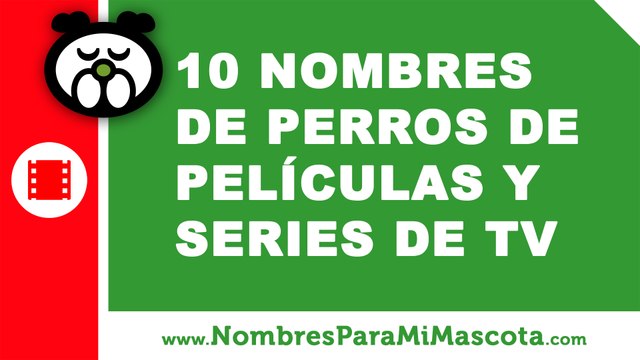 10 nombres de perros de películas y series de TV - nombres de mascota - nombresparamimascota.com