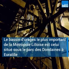 On parle de bassin " cathédrale " tellement les dimensions sont impressionnantes