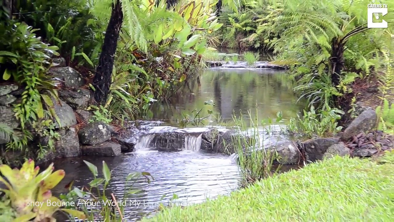 En 13 ans il transforme son jardin en paradis sauvage