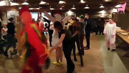 Cute Chihuahua Dogs Playing at an Animal Themed Party