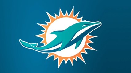 Animated Guide To The Miami Dolphins