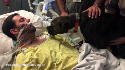 Momenti prekës kur qeni i jep lamtumirën e fundit