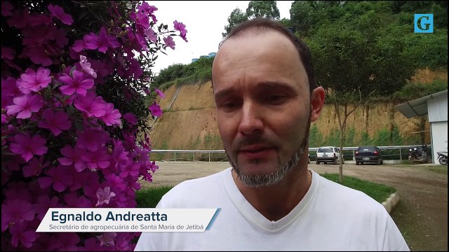 Produtores falam sobre falta de ração para aves em Santa Maria de Jetibá