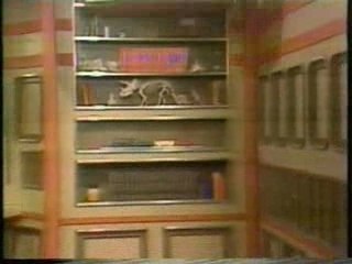 Captain Kangaroo - color show from 1981!