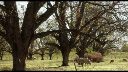 The Tale (2018) Official Trailer ft. Laura Dern, Ellen Burstyn, Common & Elizabeth Debicki | HBO